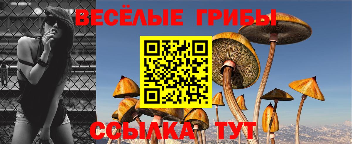 где купить наркоту  Галлюциногенные грибы Magic Shrooms  Вход с VPN  Кимовск 