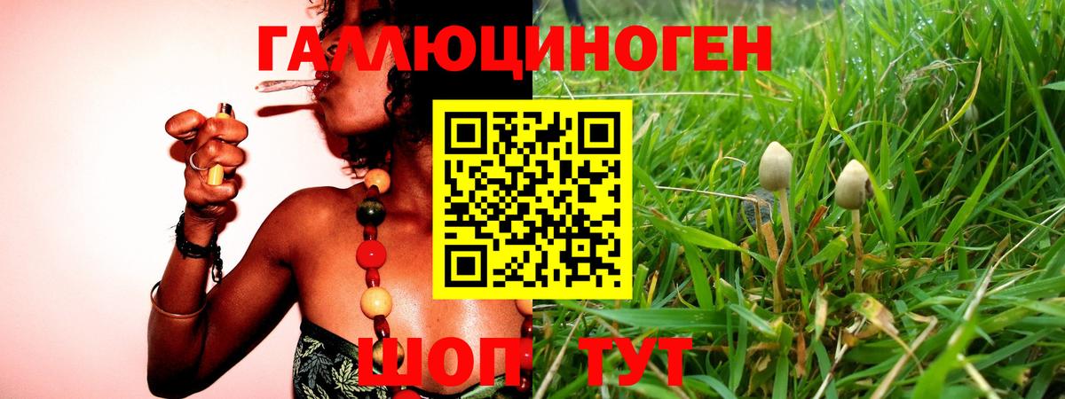 Галлюциногенные грибы Magic Shrooms Кимовск